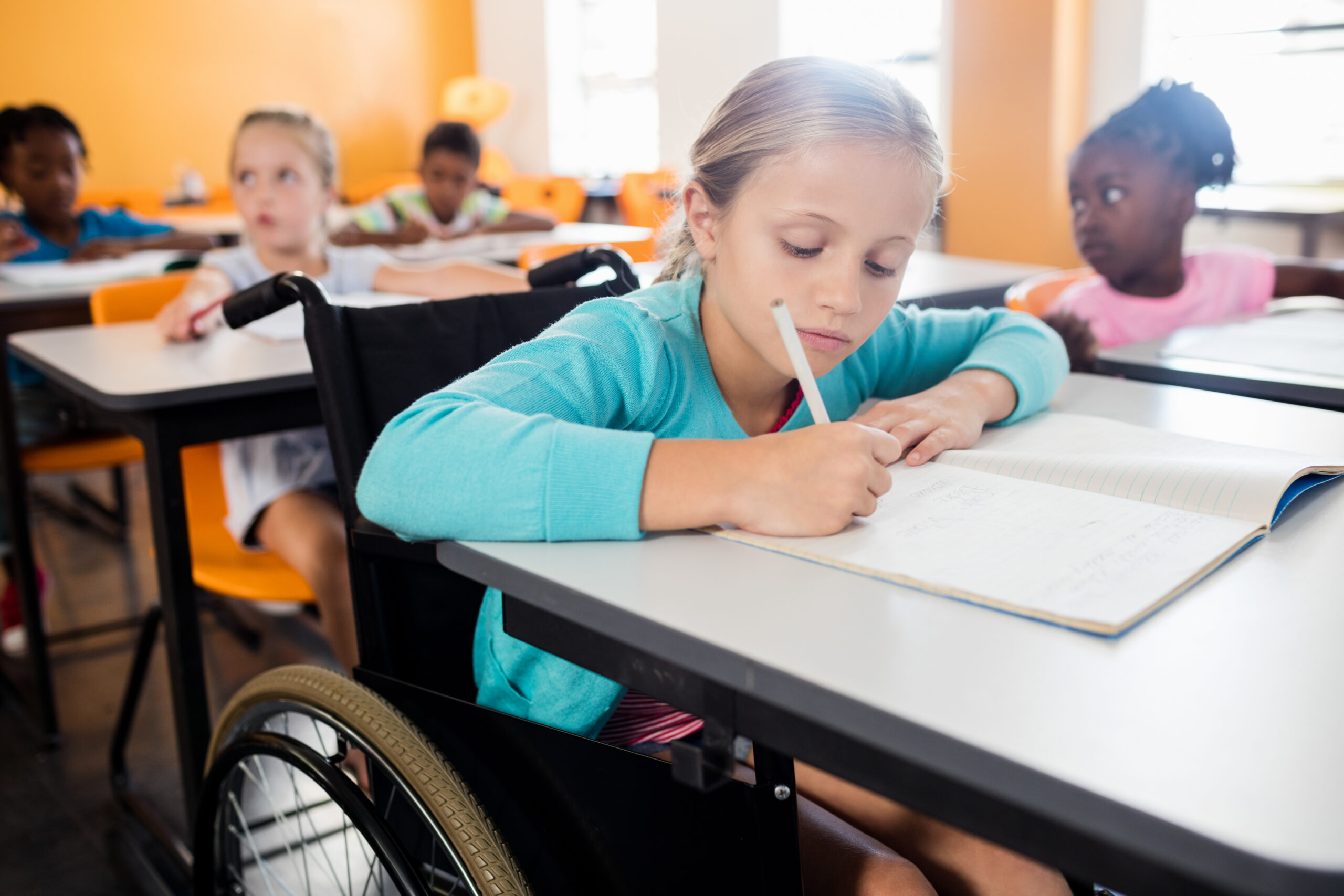 Garante Disabilità su assistenza igienico-personale: confermata la posizione dell’ANP