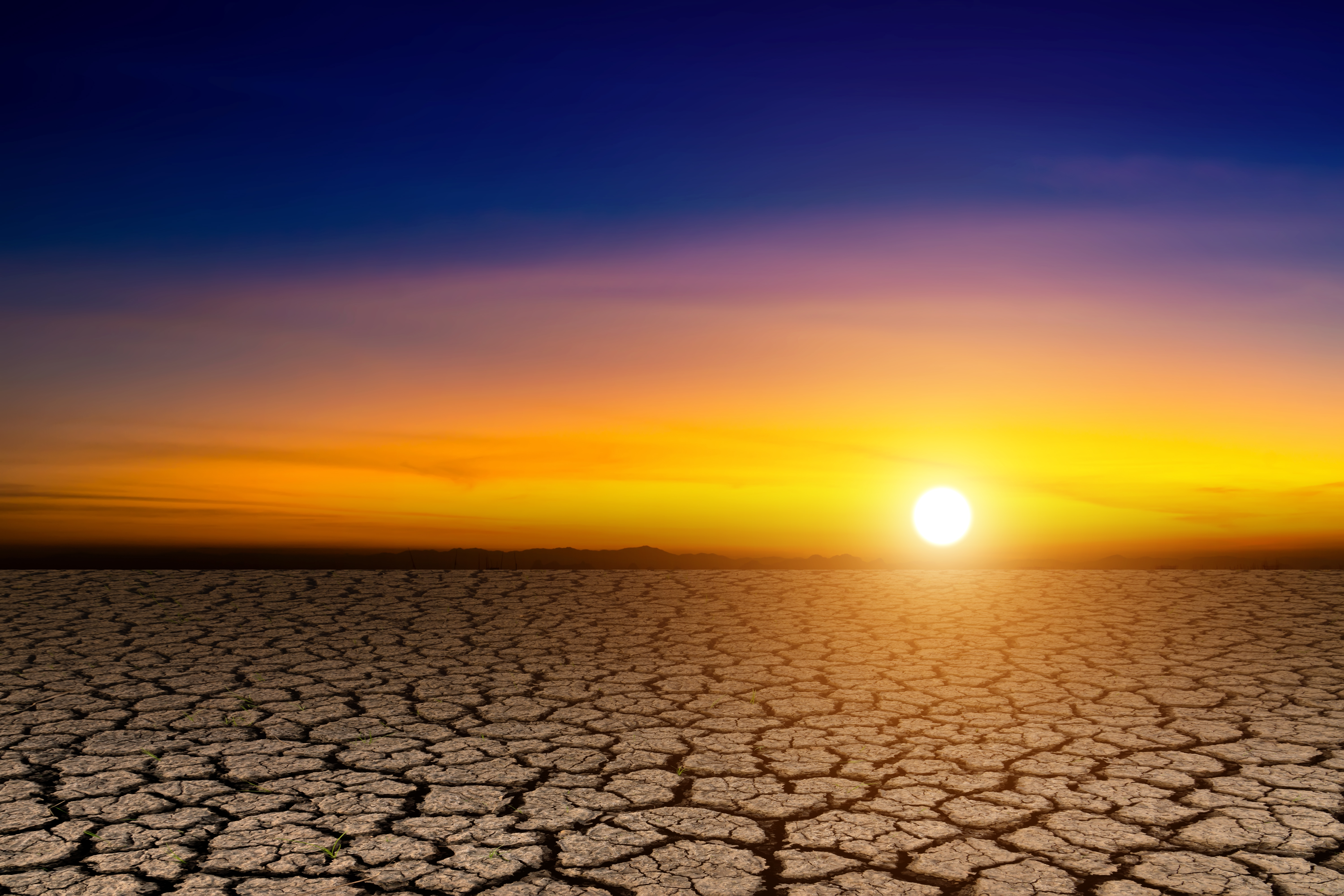 Rischio danni da calore: un approfondimento per i soci ANP