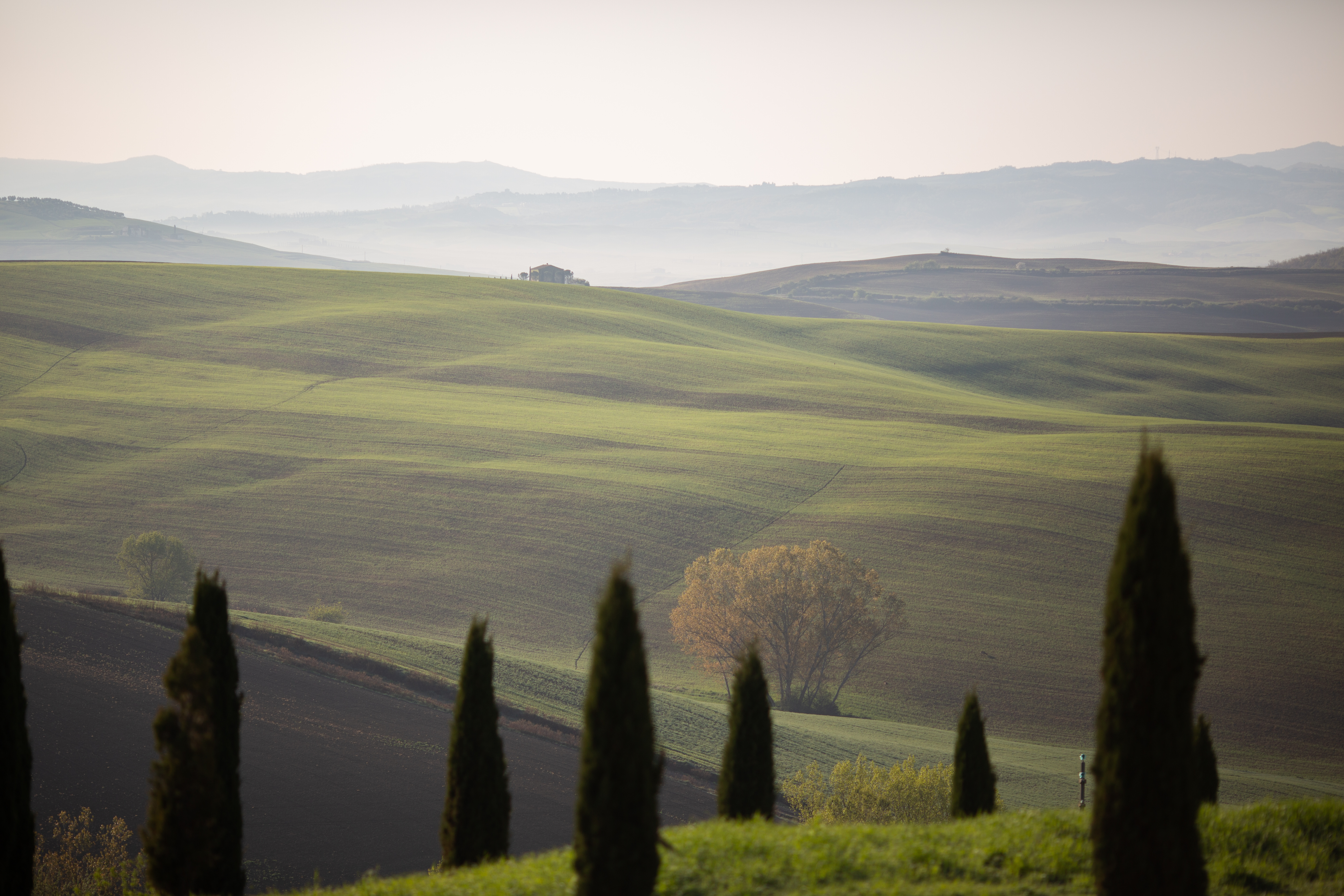 “TOSCANA IN TOUR”  1-5 Ottobre 2026: una proposta della sezione soci in quiescenza