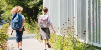 INFORMATIVA NOTA SULLE ISCRIZIONI PER L’ANNO SCOLASTICO 2020-2021: IL COMUNICATO DELL’ANP