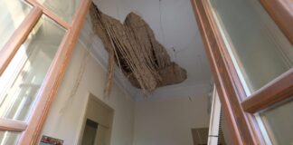 Comunicato stampa ANP: i solai delle scuole continuano a crollare, ignari del COVID