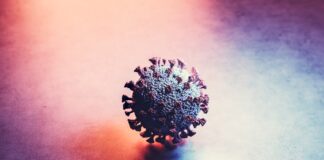 Webinar ANP – INAIL “Infortunio da Covid-19: facciamo chiarezza”: pubblicata la registrazione