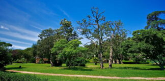 Il Privilegio di essere un ds ANP: pubblicati i documenti presentati