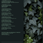 CORSO FOTOGRAFIA_CALENDARIO INCONTRI