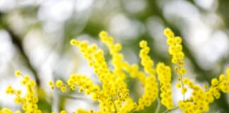 8 marzo 2023: il diritto all’istruzione