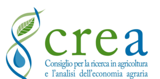 CREA: sottoscritta l’ipotesi di CCNI del personale dell’Area Istruzione e Ricerca – anno 2024