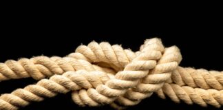 Mobilità, dimensionamento e fasce di complessità delle istituzioni scolastiche: nodi da sciogliere urgentemente