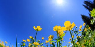 Webinar “Anno di prova: procedure finali e novità”: pubblicate registrazione, slide e modulistica