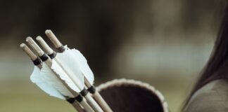 Criteri e fasce di complessità 2024/25 ovvero Robin Hood alla rovescia