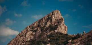 NEODS25 | Webinar “Immissioni in ruolo: notizie in anteprima e il piano di formazione”: pubblicate la registrazione e le slide