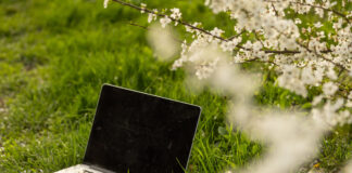 Webinar “Esami di Stato II Ciclo: tutte le novità”: pubblicate la registrazione e le slide