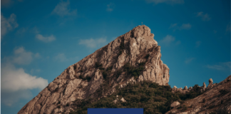 Questionario di gradimento webinar NEODS25 ANP “Questione di… verbali: come gestire la verbalizzazione”