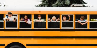Servizi di trasporto per uscite didattiche e viaggi di istruzione: facciamo chiarezza