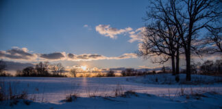 Webinar “Conti giudiziali: le indicazioni dell’ANP”: la registrazione e le slide