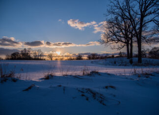 Webinar “Indicazioni Nazionali 2025: dal testo alle azioni”. Pubblicate la registrazione e le slide